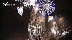 Gifs animés feux d'artifices 25